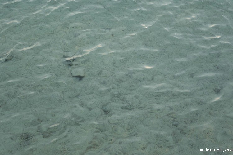 水质检测 水质检测