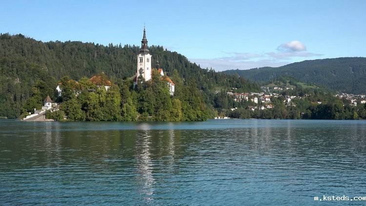 COD消解器 COD消解器