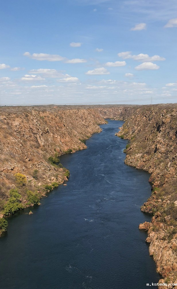 COD消解器 COD消解器