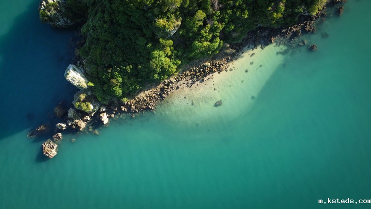 BOD分析仪 BOD分析仪