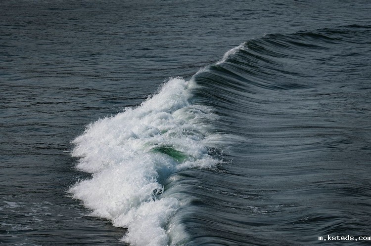 COD消解器 COD消解器