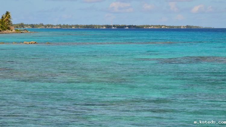 氨氮测定仪 氨氮测定仪