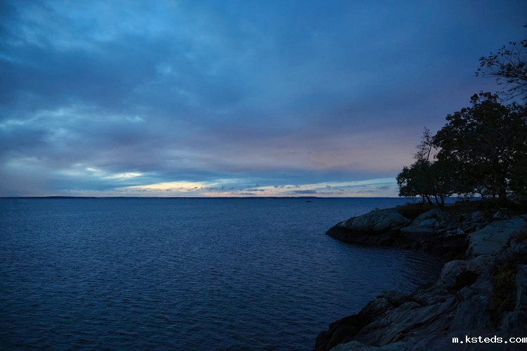 COD氨氮检测仪 COD氨氮检测仪