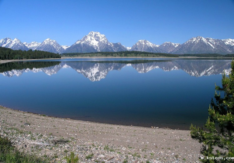 总氮检测 总氮检测