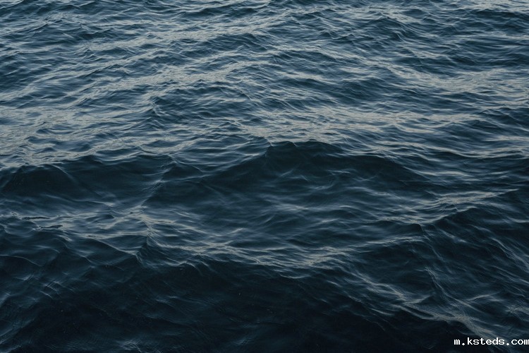 COD氨氮检测仪 COD氨氮检测仪