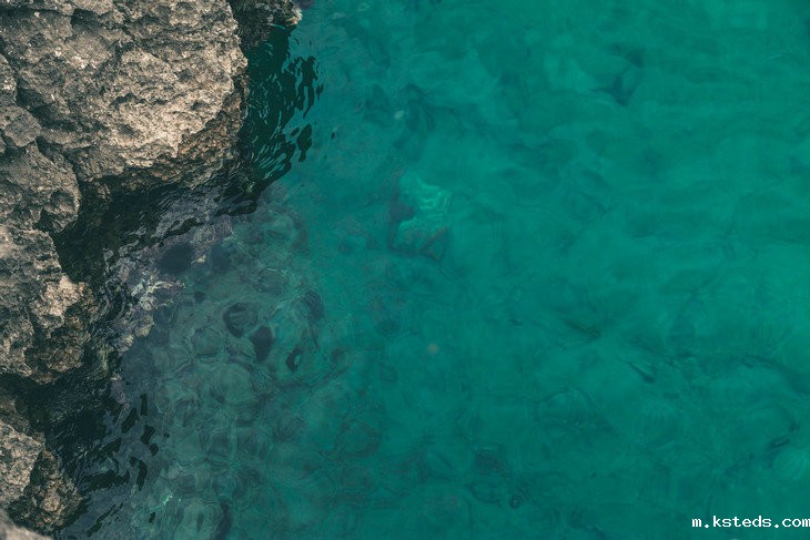 手持式浊度计 手持式浊度计