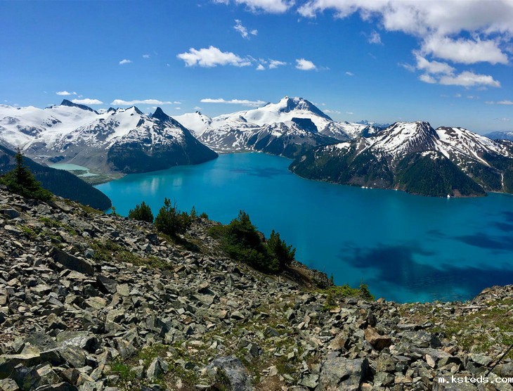 在线浊度仪 在线浊度仪