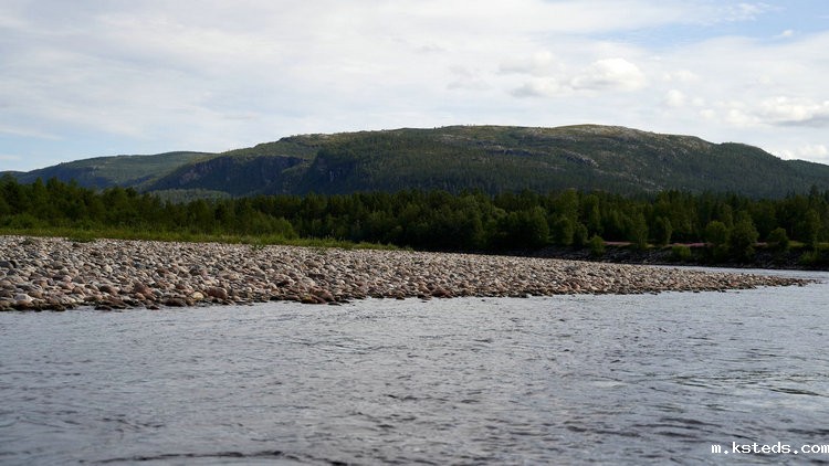 余氯分析仪 余氯分析仪