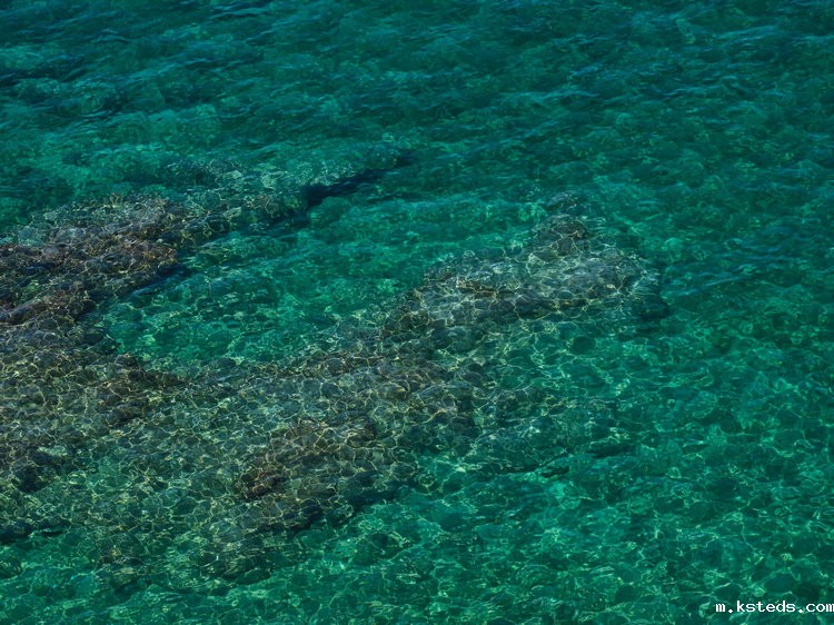 余氯分析仪 余氯分析仪