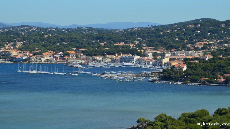 余氯(总氯)测定仪 余氯(总氯)测定仪