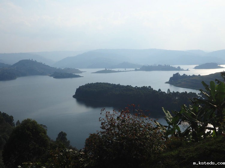 余氯分析仪 余氯分析仪