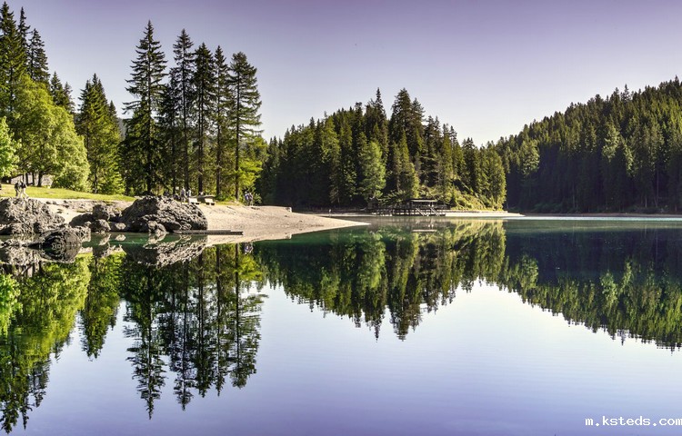 水质浊度 水质浊度