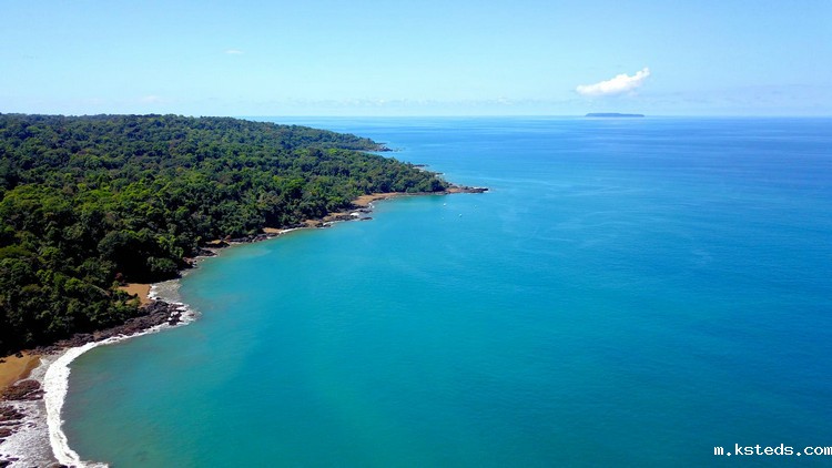 工业在线浊度分析仪 工业在线浊度分析仪