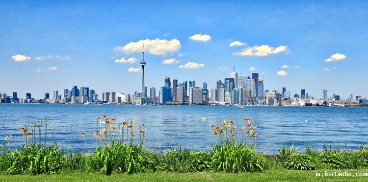 余氯分析仪 余氯分析仪