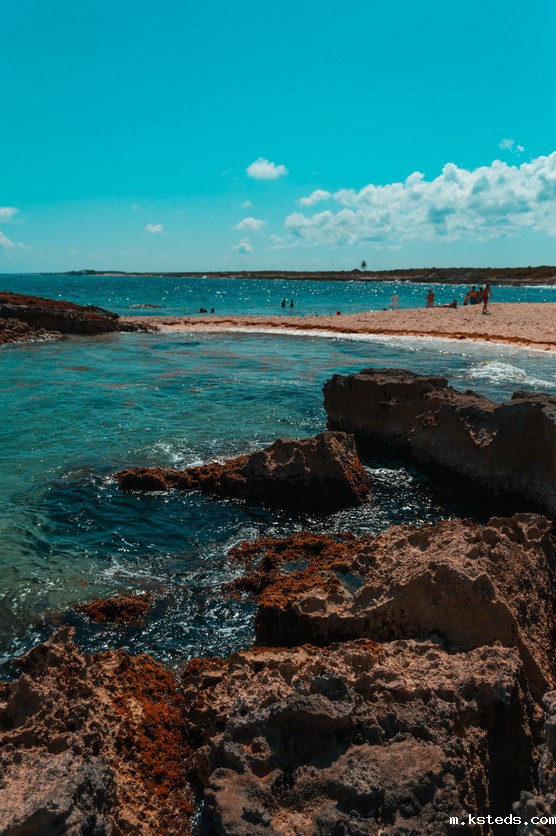 新型浊度计 新型浊度计