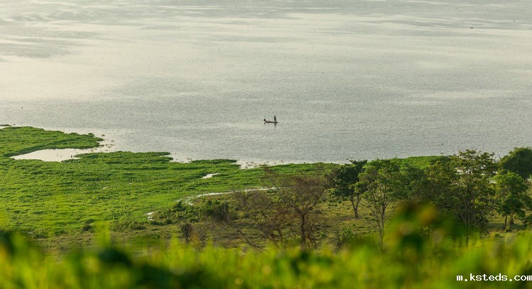 余氯监测 余氯监测