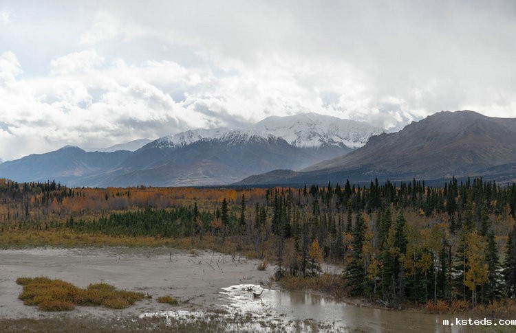 余氯检测仪 余氯检测仪