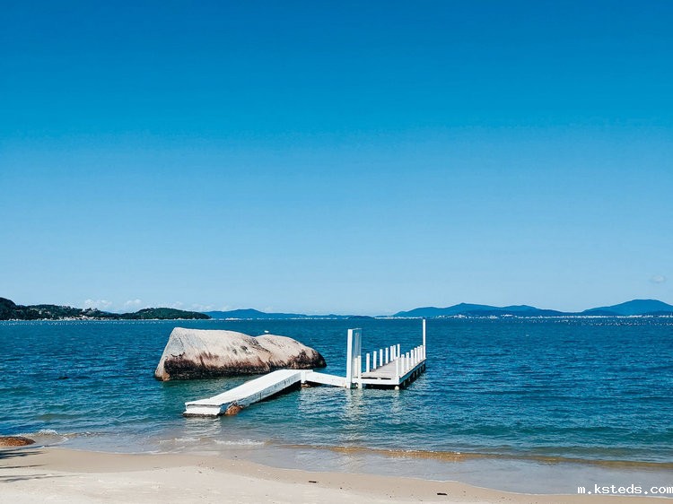 余氯/总氯分析仪 余氯/总氯分析仪