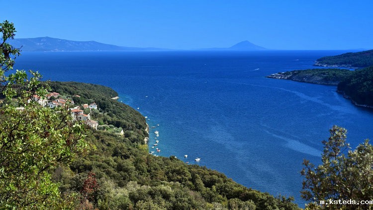 余氯测定仪 余氯测定仪