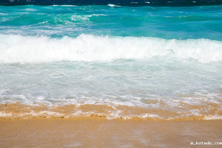 散射式浑浊度仪 散射式浑浊度仪