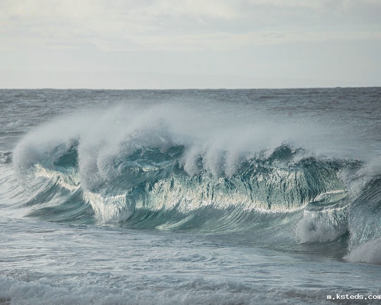 浊度测定 浊度测定