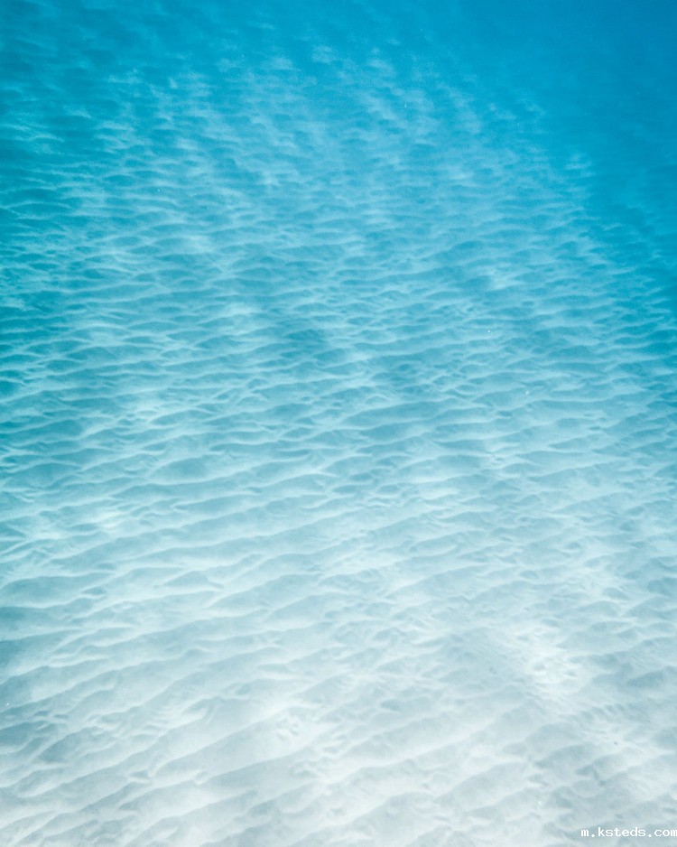 浊度在线检测仪 浊度在线检测仪