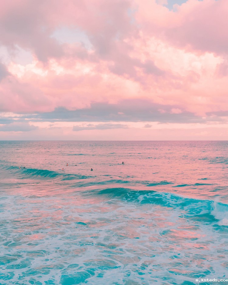 浊度测定仪 浊度测定仪