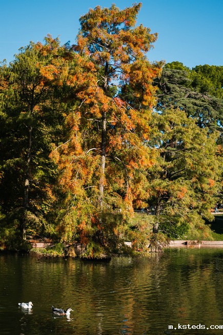 工业在线浊度仪 工业在线浊度仪