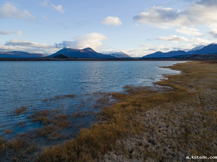 余氯比色器 余氯比色器