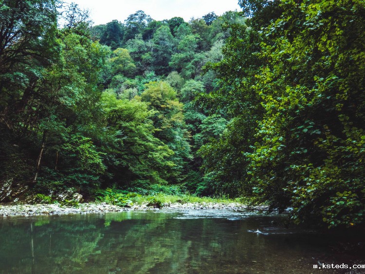 余氯分析仪 余氯分析仪
