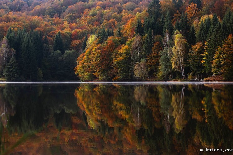 COD氨氮总磷总氮测定仪 COD氨氮总磷总氮测定仪