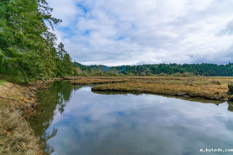 水质检测 水质检测