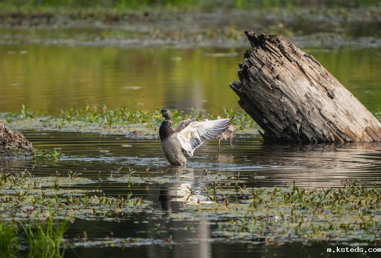 多参数新利官网官方网站 多参数新利官网官方网站