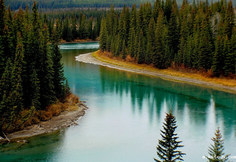 水质检测 水质检测