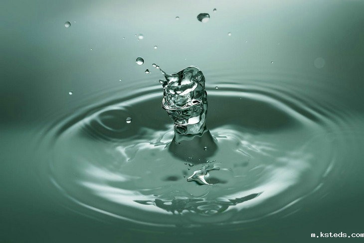 全自动离子氨氮分析仪 全自动离子氨氮分析仪