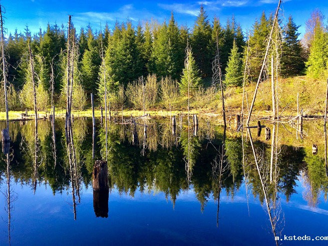 高浓度氨氮废水