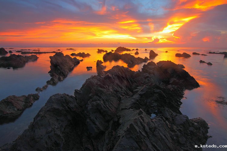 氨氮在线分析仪