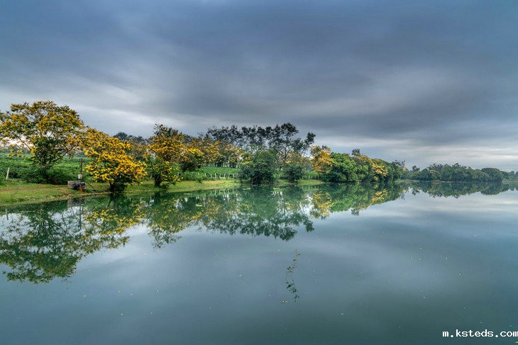 氨氮测定仪 氨氮测定仪