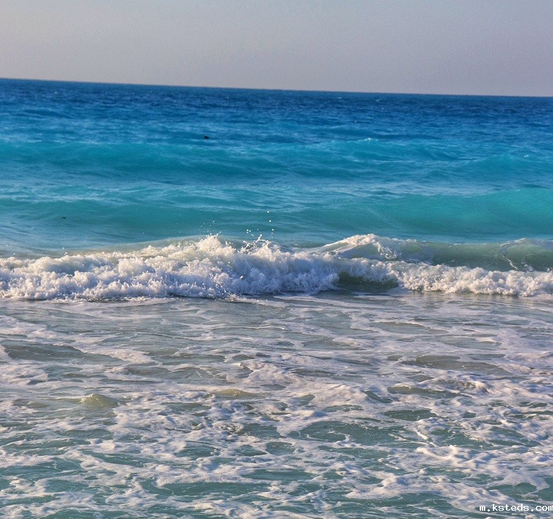 1676102119796482.jpg 63.jpg