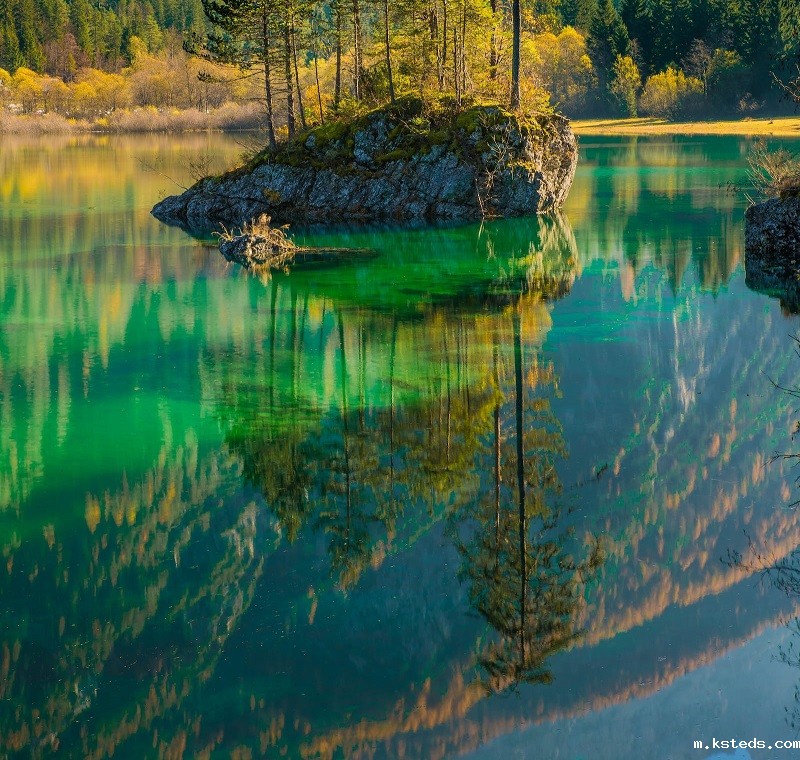 1677316423219357.jpg 84.jpg