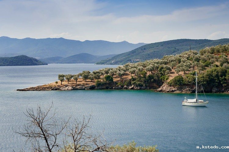 氨氮水质在线分析仪