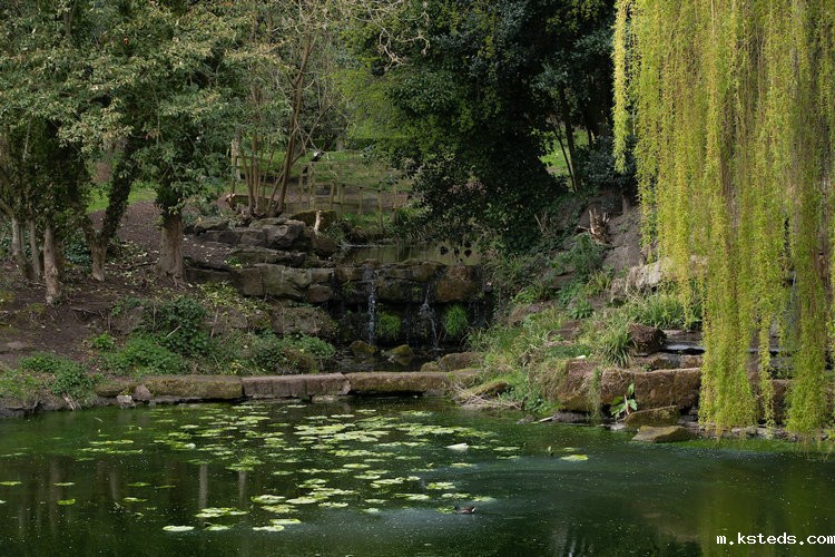 氨氮水质在线自动检测仪