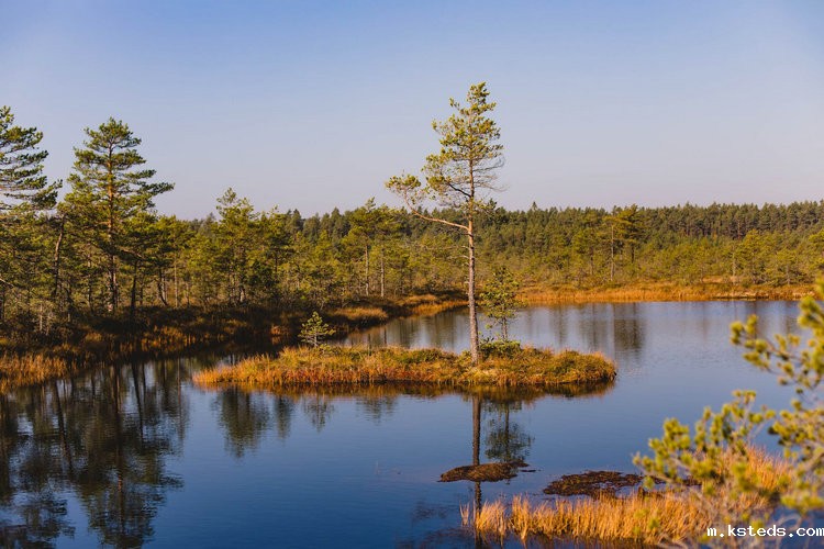 氨氮测定仪 氨氮测定仪