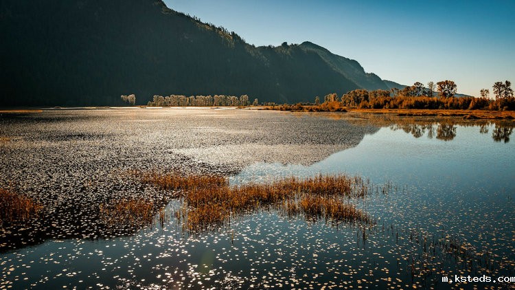 氨氮在线监测仪 氨氮在线监测仪