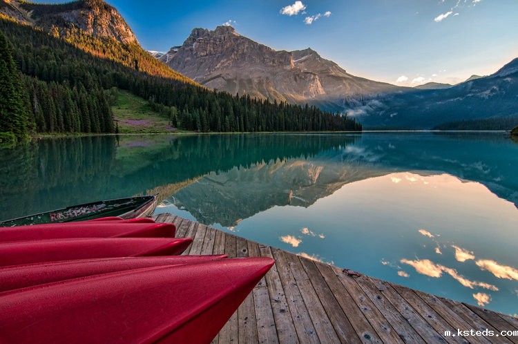 氨氮快速测定仪