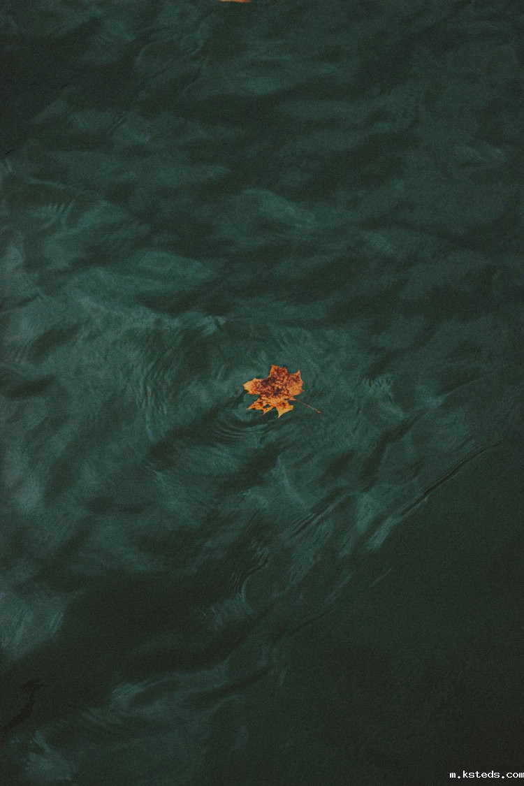 氨氮测定仪 氨氮测定仪