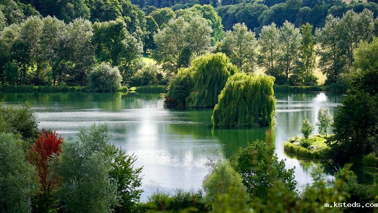 1679725620242510.jpeg 1668071946131319.jpeg