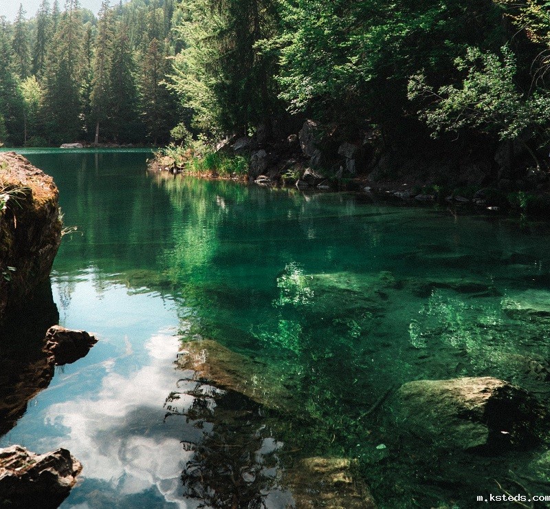 1679737370360786.jpg 62.jpg