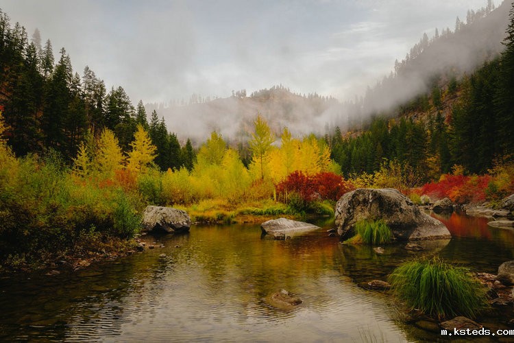 氨氮测定仪 氨氮测定仪