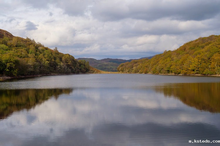 氨氮快速检测仪 氨氮快速检测仪